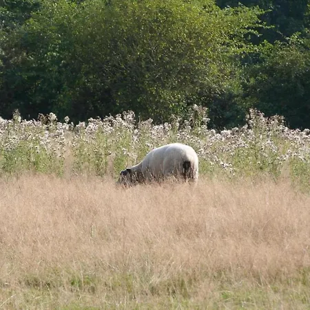 In Normandy Near Chateau Balleroy, Cleaning Included 度假居 Sainte-Marguerite-d'Elle